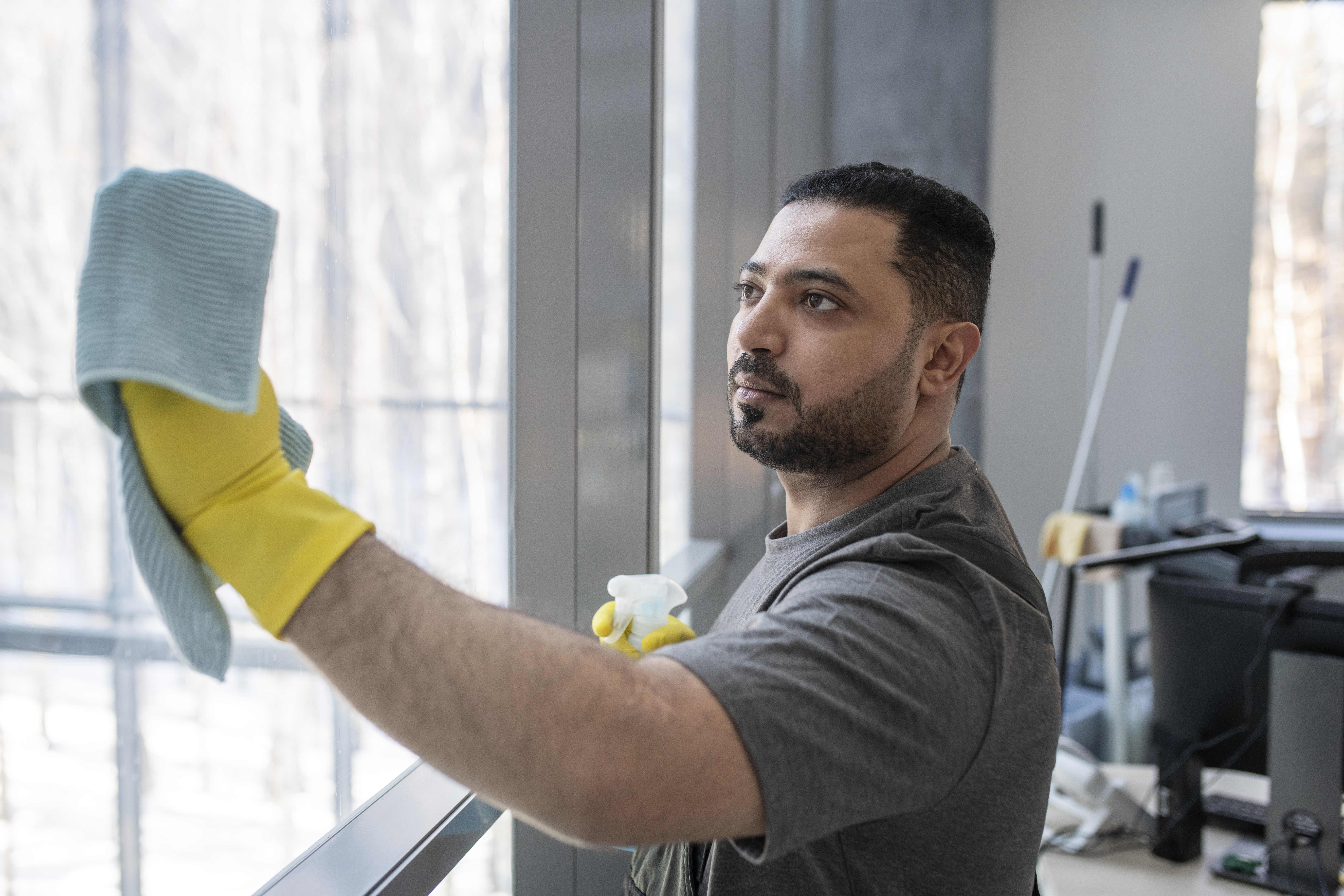Professional Window Cleaner