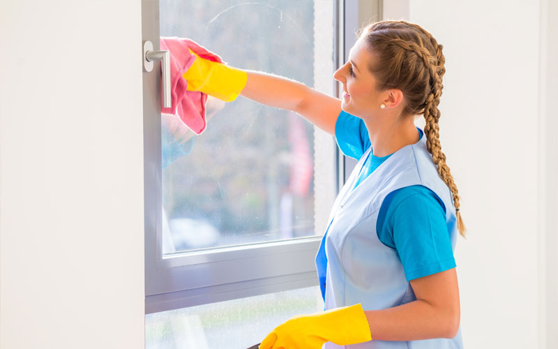 Window Cleaning